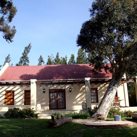 Calais Wine Estate Konuk evi Paarl Dış mekan fotoğraf
