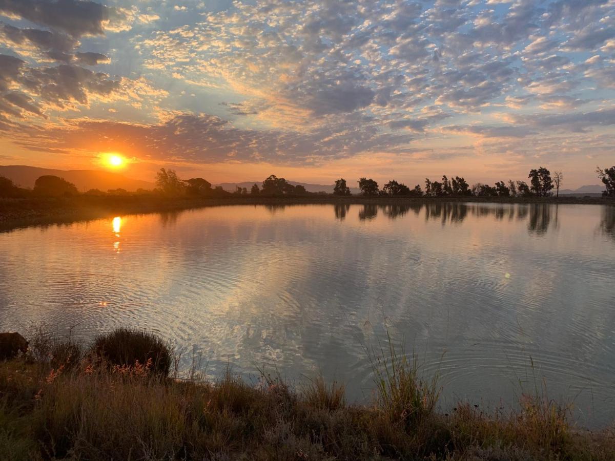 Calais Wine Estate Konuk evi Paarl Dış mekan fotoğraf