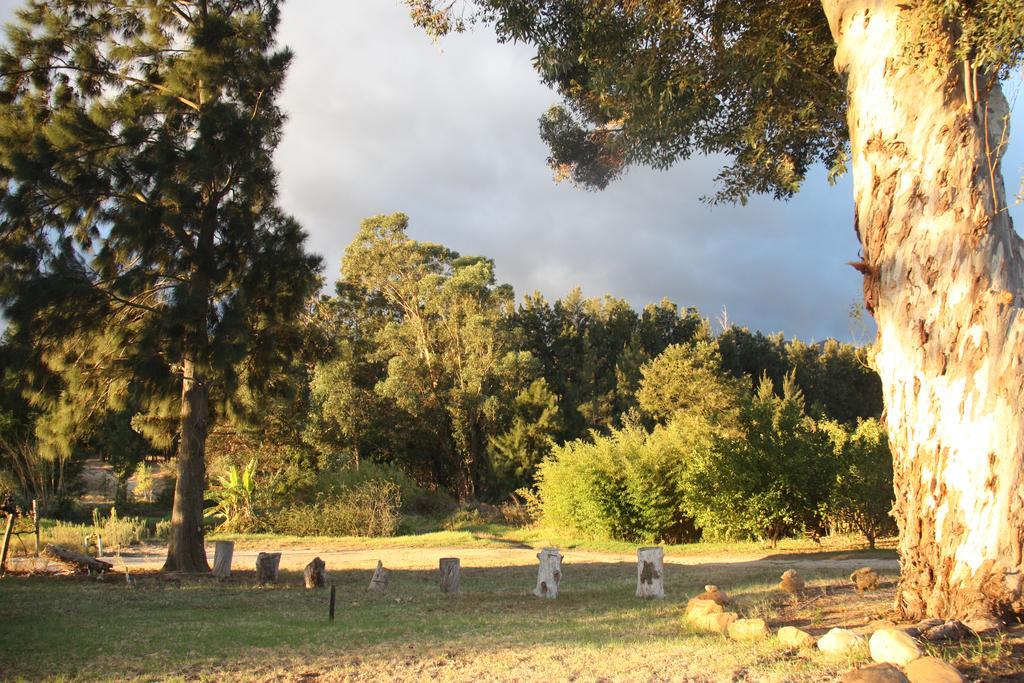 Calais Wine Estate Konuk evi Paarl Dış mekan fotoğraf