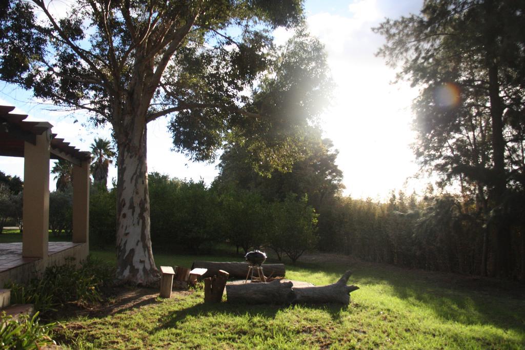 Calais Wine Estate Konuk evi Paarl Dış mekan fotoğraf