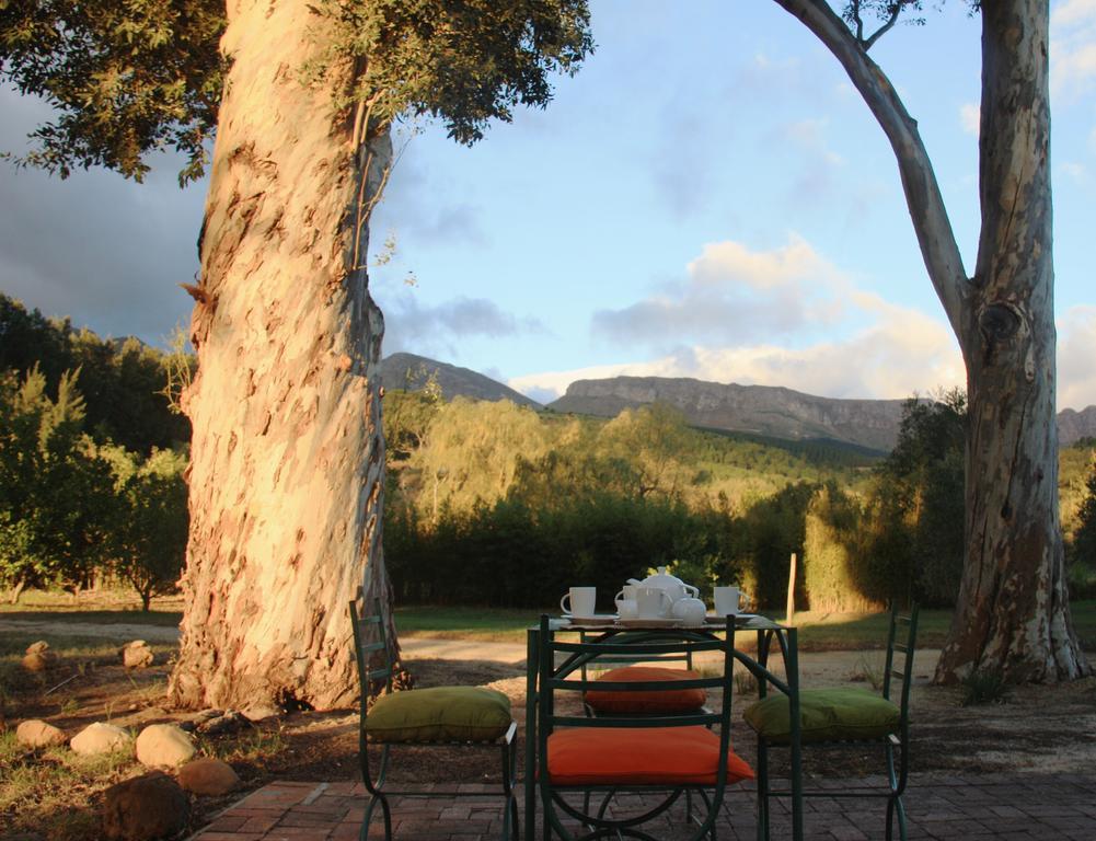 Calais Wine Estate Konuk evi Paarl Dış mekan fotoğraf