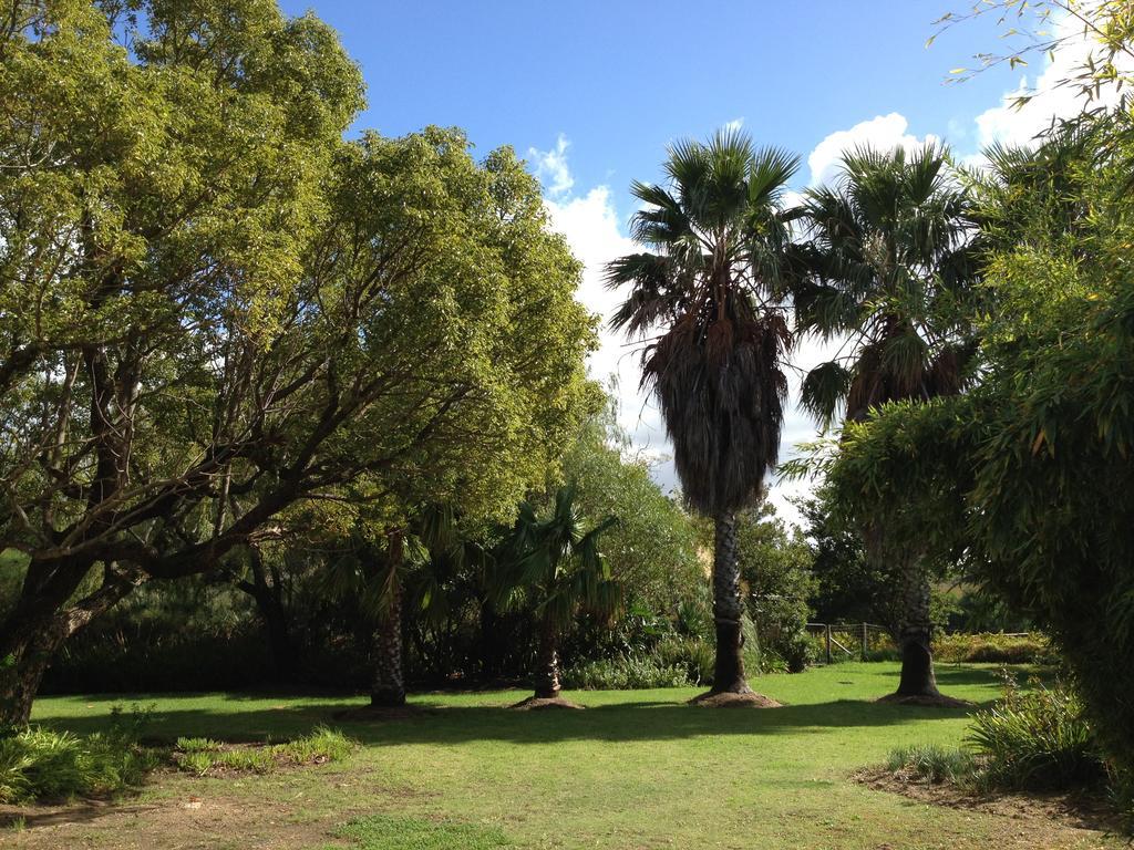 Calais Wine Estate Konuk evi Paarl Dış mekan fotoğraf
