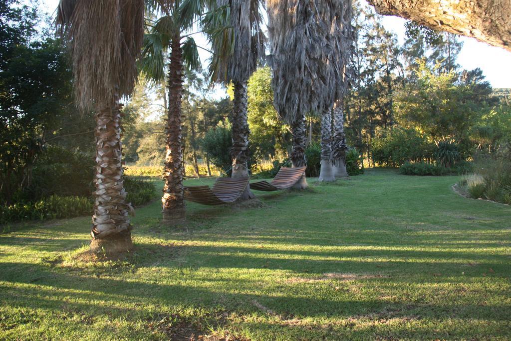 Calais Wine Estate Konuk evi Paarl Dış mekan fotoğraf